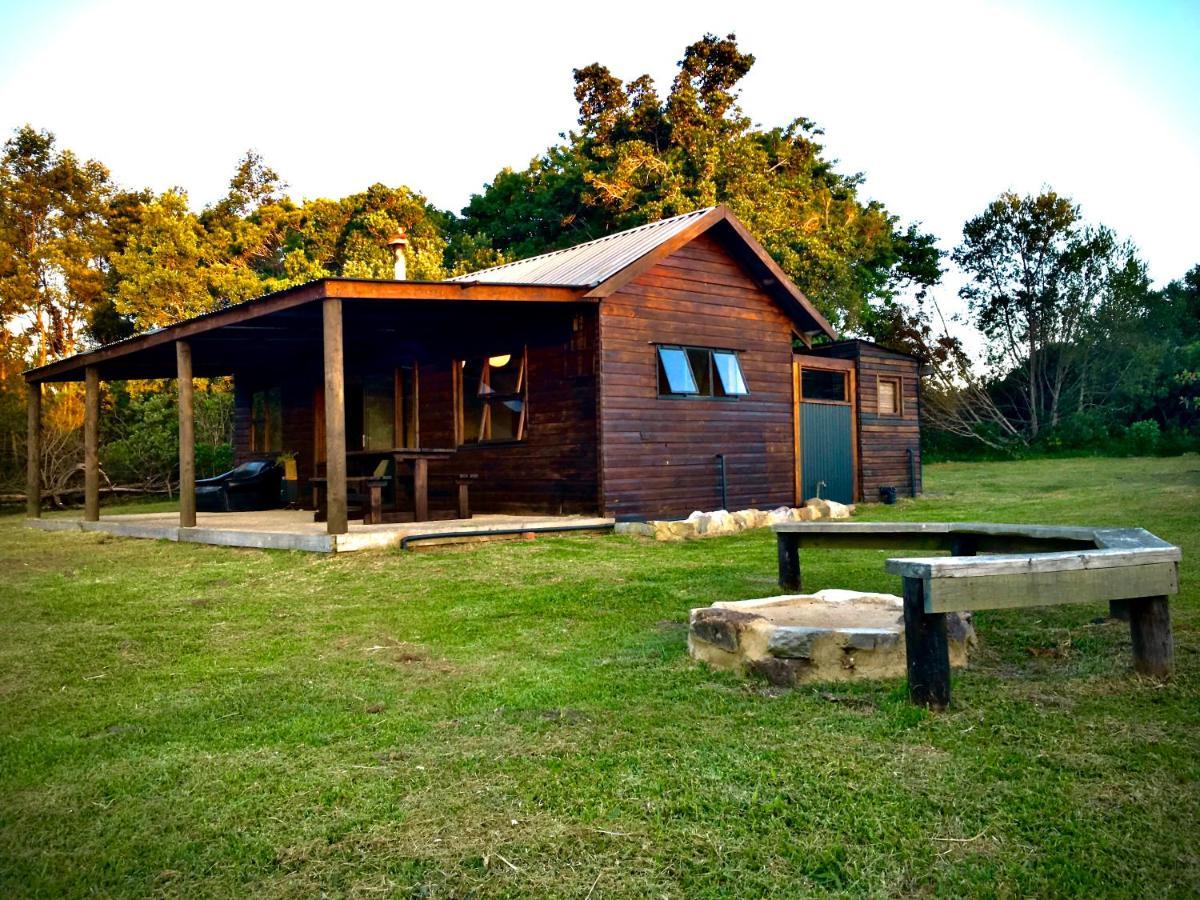 Pura Vida Forest Cabin Witelsbos Экстерьер фото