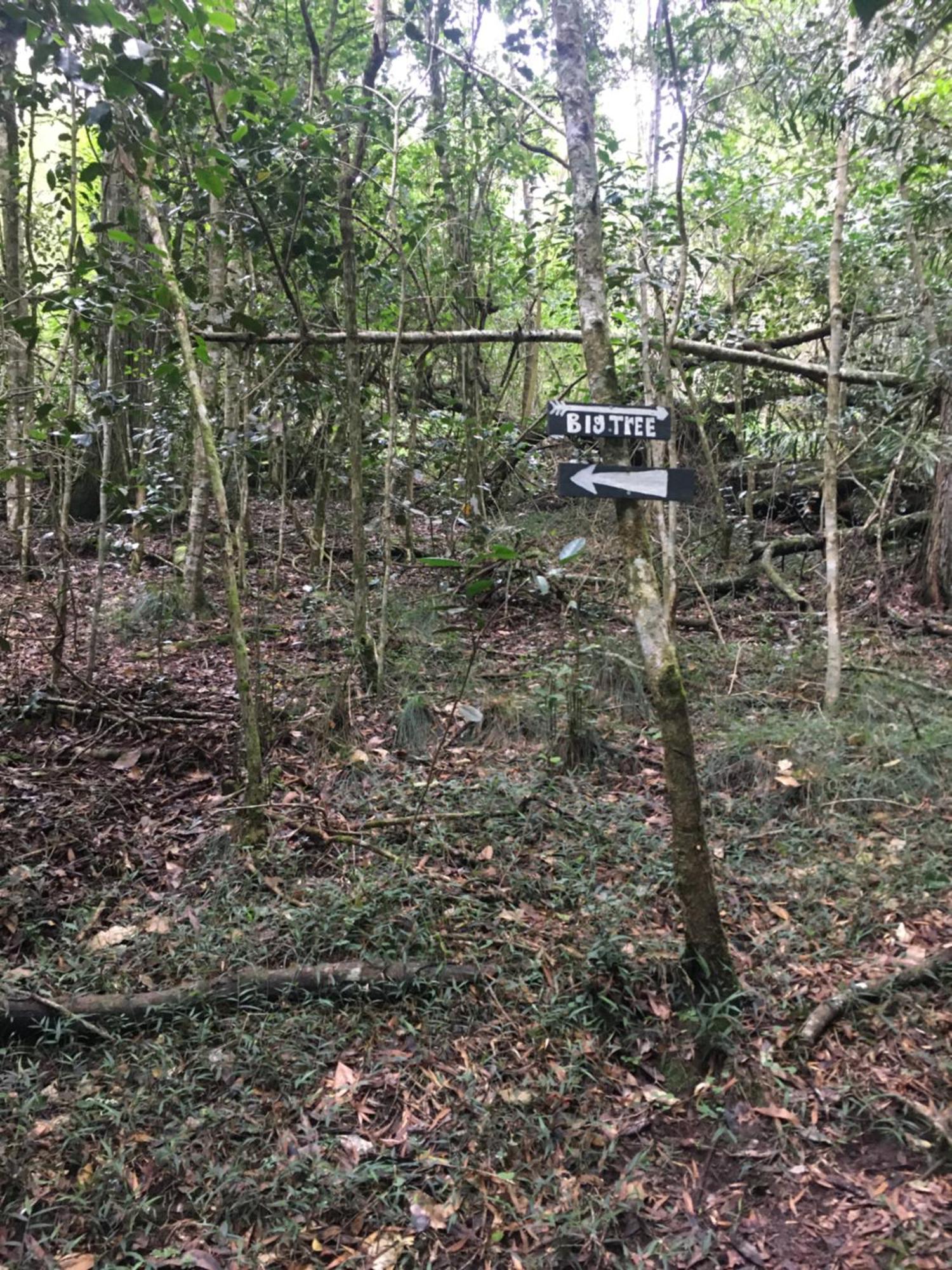 Pura Vida Forest Cabin Witelsbos Экстерьер фото